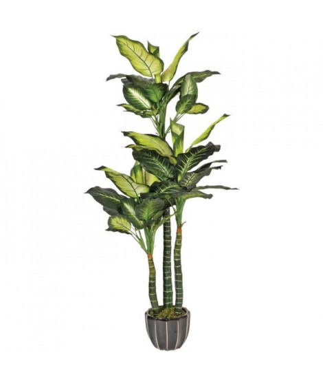 CATRAL - Plante artificielle pata de elefante 150cm