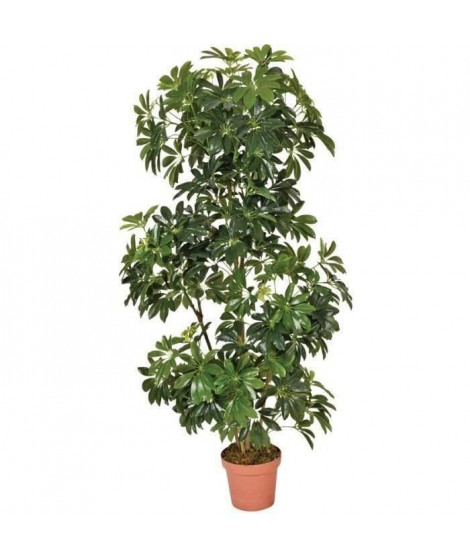 CATRAL - Plante artificielle schefflera 145cm