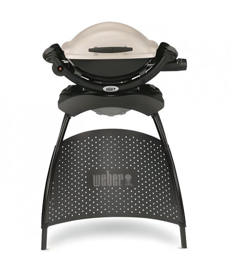 WEBER Barbecue gaz Q 1000 Stand Gas Grill