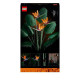 LEGO Icons 10289 L'Oiseau de Paradis, Fleurs Décoratives, Maquette Botanical Collection, Construction Plantes, pour Adultes