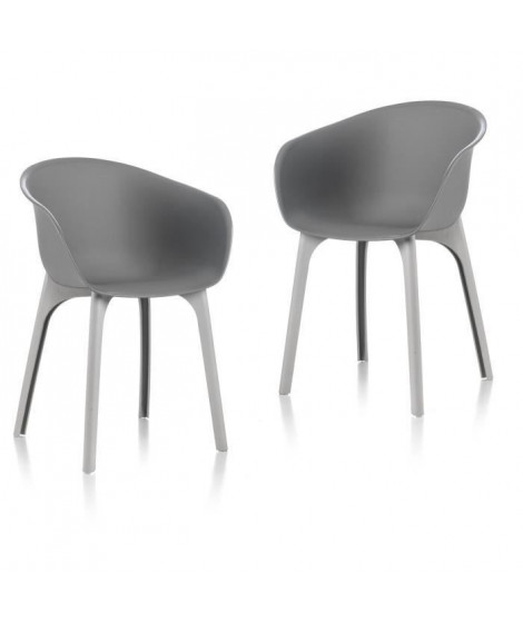 IDEA lot de 2 Chaises de jardin Diva Gris