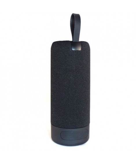 ENCEINTE PORTABLE BLUETOOTH - INOVALLEY - HP619-BTH