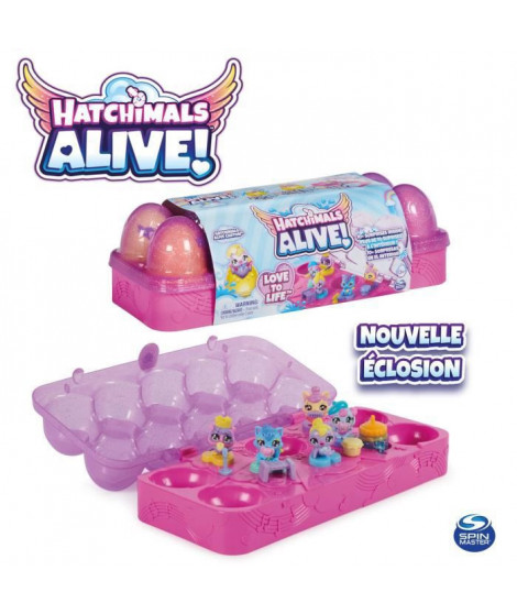Hatchimals - Boîte 5 oeufs avec 5 Hatchimals + Accessoires