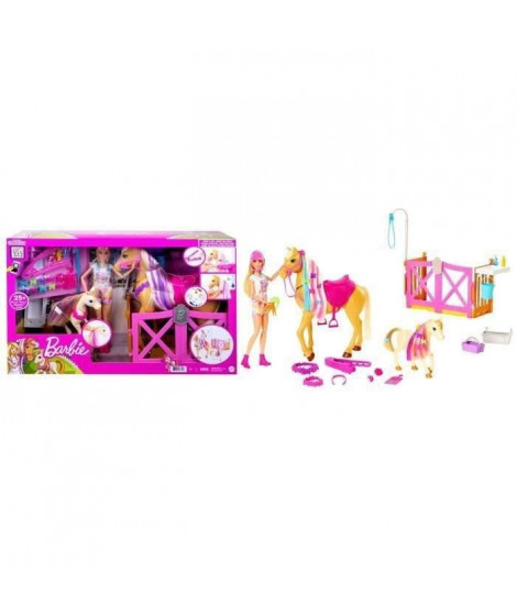 Poupée Mannequin - Barbie - HGB58 - Coffret Toilettage des Chevaux Barbie avec 1 poupée
