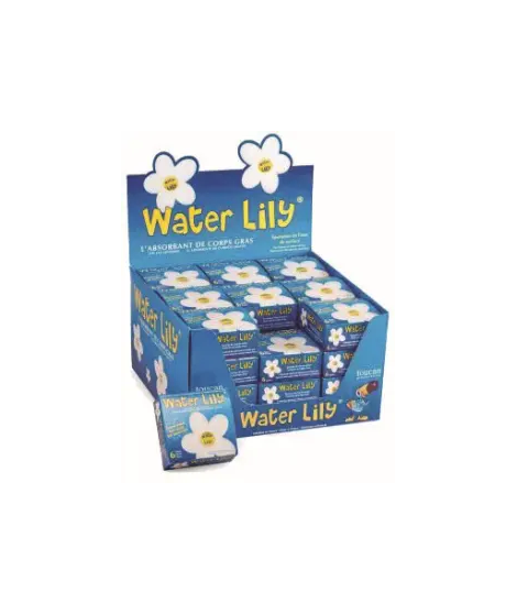 WATER LILI BOITE DE 6