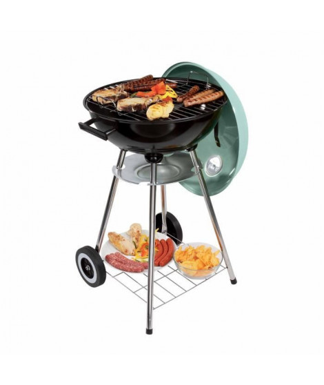 Barbecue a charbon LIVOO DOC172VE - Acier émaillé - Surface cuisson 41 cm