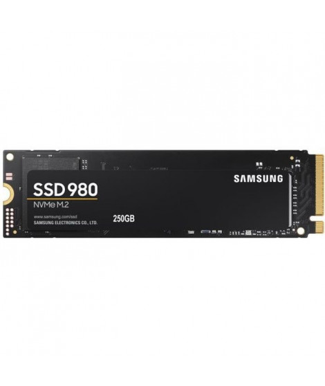 SAMSUNG - SSD Interne - 980 - 250Go - M.2 NVMe (MZ-V8V250BW)