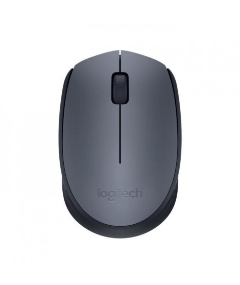 LOGITECH - Souris Sans Fil Ambidextre M170 - Gris