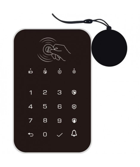 Wireless Keypad WKE301 avec 2 Badges RFID