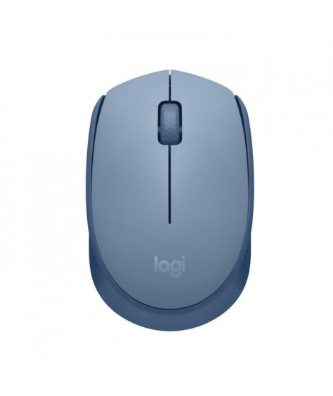 Logitech M171 Souris Sans Fil 2,4 GHz avec Mini-récepteur USB, Suivi Optique, Ambidextre - Bleu Gris