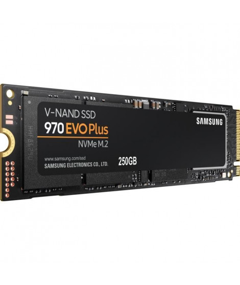 SAMSUNG - SSD Interne - 970 EVO PLUS - 250Go - M.2 (MZ-V7S250BW)