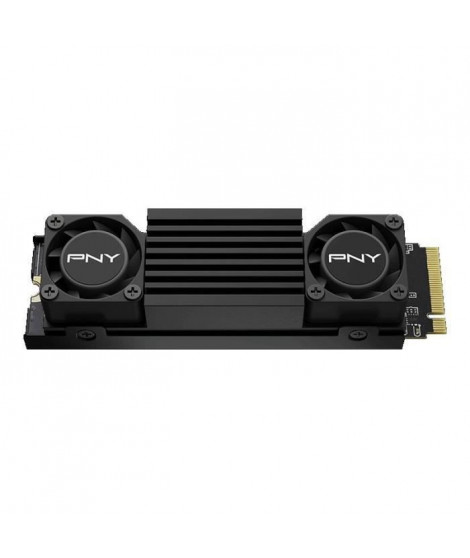 PNY - CS3150 - Disque dur SSD Interne - 2To - M.2 NVMe (M280CS3150HS-2TB-RB)