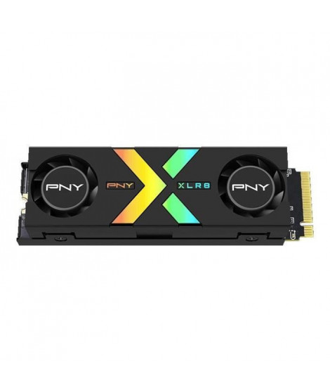 PNY - CS3150 XLR8 Gaming EPIC-X RGB - Disque dur SSD Interne - 1To - M.2 NVMe - RGB Heatsink (M280CS3150XHS-1TB-RB)