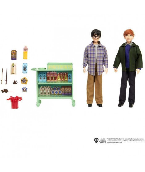 Coffret Harry et Ron - Mattel - HND79 - Poupée mannequin Harry Potter
