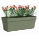 Jardiniere - Plastique - Vert Cendre - Rectangulaire - L49,9 x P20 x H18,1cm - ARTEVASI