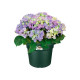 Elho Bac a fleurs Green Basics Cilinder 65 - Vert - Ø 64 x H 49 cm - extérieur - 100% recyclé