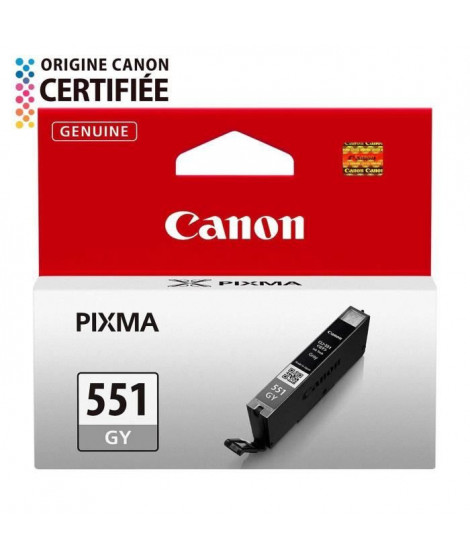 CANON Cartouche d'encre CLI-551GY Gris