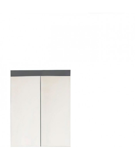 Armoire de salle de bain - TRENDTEAM - Amanda - 2 portes miroir - Gris - 60x17x77cm