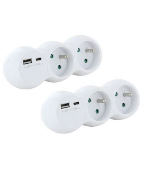 Lot 2 domino CHACON - 47002 - 2x16A avec USB-A +USB-C - Blanc (FR)