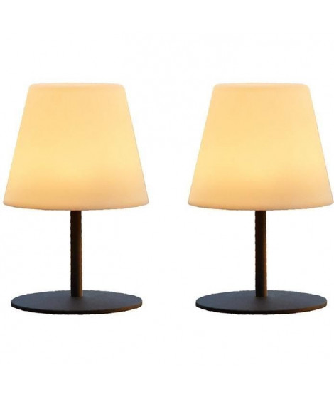 Pack de 2 Lampes de table sans fil - LUMISKY - TWINS - H16 cm - Pied en acier gris - LED blanc chaud et blanc