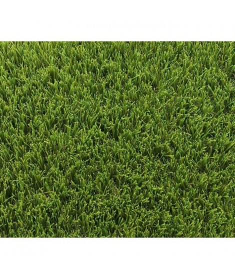 Gazon synthétique - EXELGREEN - 123103 - Park 40 mm - 1 x 5m