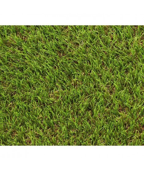 Gazon - EXELGREEN - 124414 - Natura 2D - 38mm / 1 x 5 m