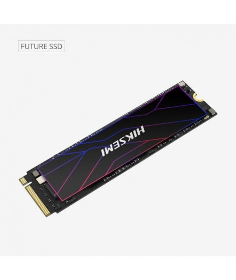 HIKSEMI - SSD Interne - 1024Go - M.2 - Future PCIe Gen 4x4, NVMe 7450MB/s 6600MB/s (HS-SSD-FUTURE(STD)/1024G/PCIE4)