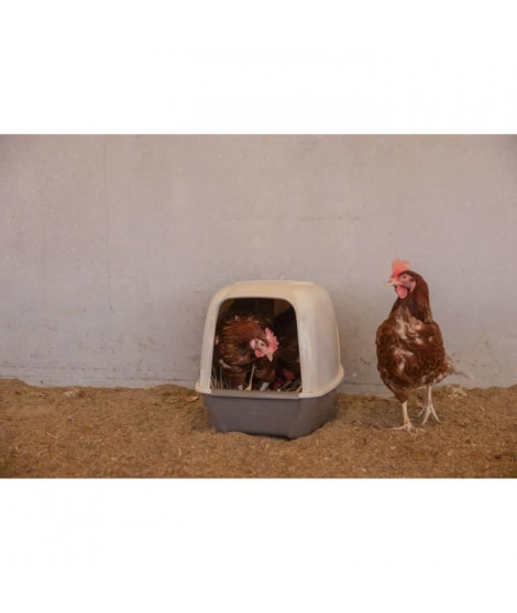 Pondoir pour poules - KERBL - 52 x 39 x 39 cm