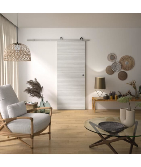 Kit Porte Coulissante - OPTIMUM - BILBAO2 + RAAP ACBR - H 204 x 83 x 3,6 cm, Acier brossé, Installation rapide