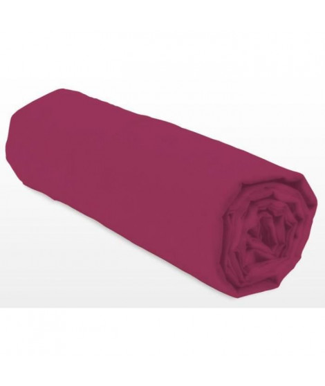 Drap-housse - LOVELY HOME - LH71611 - 160x200+30 cm - Fuchsia