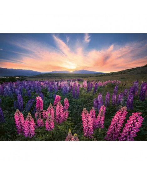 Ravensburger-Puzzle 500 pieces-Les lupins (Nature edition)-Des 12 ans - Puzzle de qualité supérieure-12000688