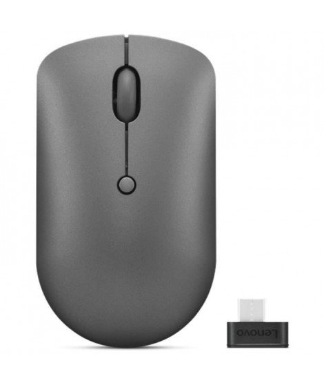 Souris sans fil compacte USB-C Lenovo 540  Gris