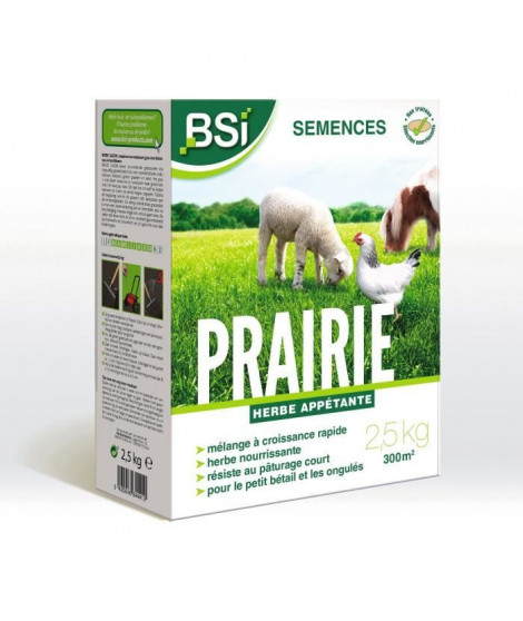 BSI - Semences de Gazon - Prairie - Haute qualité - Grande Surface - Jusqu'a 375m² - 7,5Kg