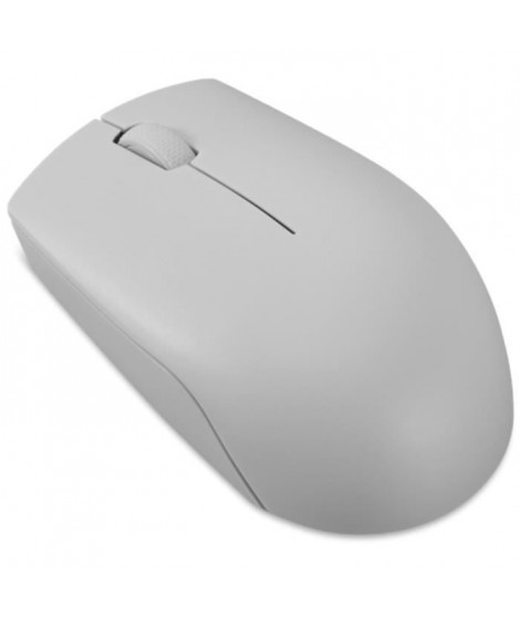 Souris sans fil compacte Lenovo 300 avec batterie - Gris