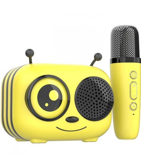Kit karaoké / Enceinte Bluetooth et micro sans fil - CGV - MAYA, Effets voix magiques, Autonomie 8h, Recharge USB