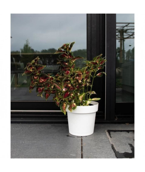 Pot a réserve d'eau - GARDEN ID Glamour - Blanc 40 cm - Surface granuleuse - Intérieur/extérieur - Design épuré.