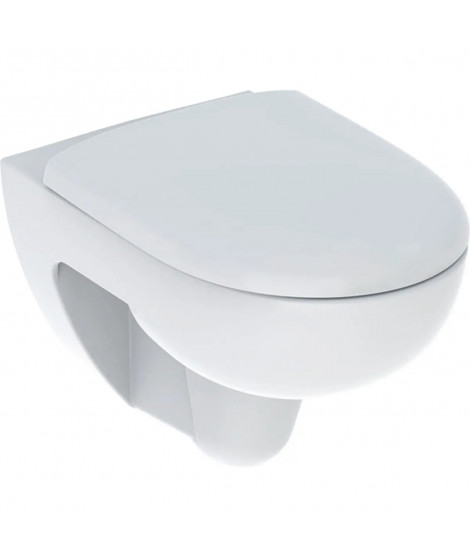 PACK WC SUS RENOVA RIMFREE ABATTANT FREIN DE CHUTE (SWITCH 08398300000100)