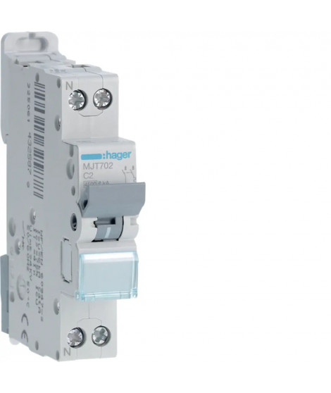 DISJONCTEUR 1P+N 4.5-6KA COURBE C - 2A 1 MODULE