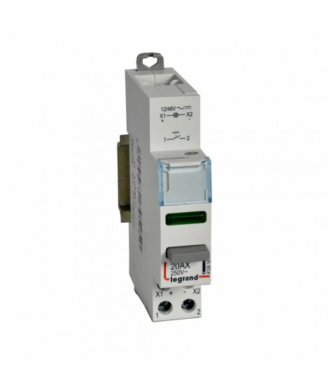 Poussoir - double fonction avec voyant 1 NO + LED vert - 1 module - 12/48 V~/: