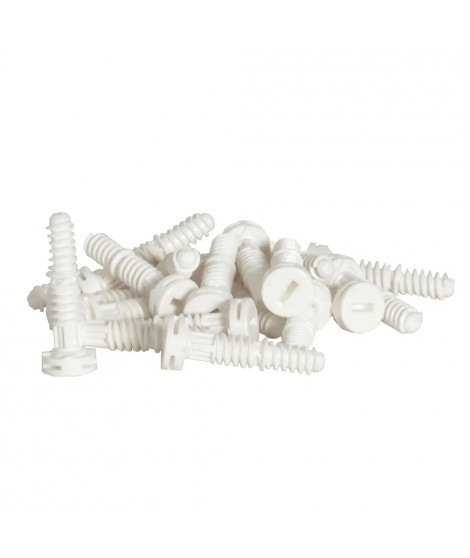 Lot de 20 vis capot - pour coffret DRIVIA