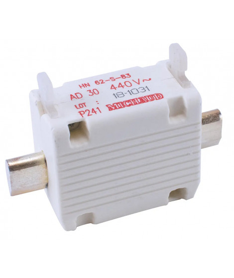 CARTOUCHE FUSIBLE T00 AD 30A 69 43 516