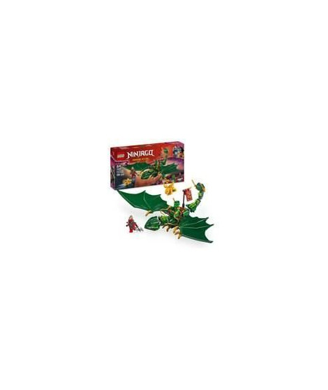 LEGO NINJAGO 71829 Le dragon vert de la foret de Lloyd - Jeu de construction des 6 ans