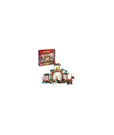 LEGO NINJAGO 71831 Le temple de Spinjitzu des Ninjas - Jouet dragon pour enfants des 4 ans