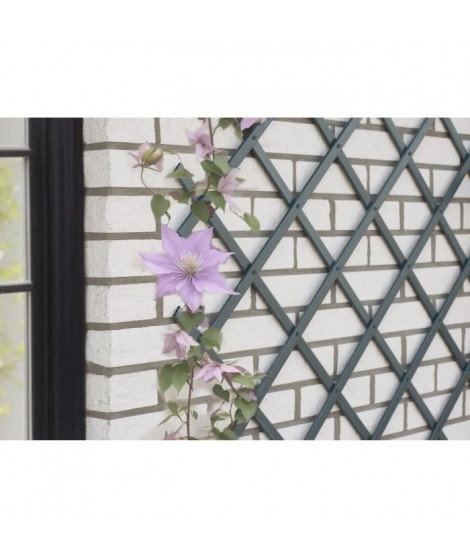 Treillis extensible - NATURE - En plastique Anthracite - 100 x 200 cm
