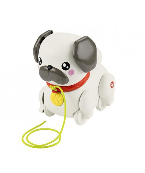 Fisher-Price-Mon Carlin a Promener-Jouet a tirer pour bébé HTW94