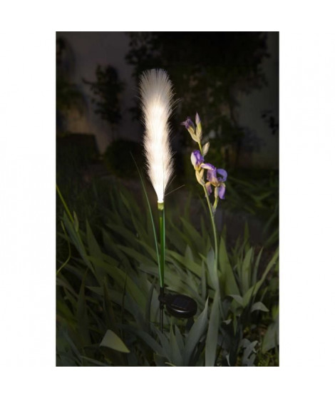 Décoration lumineuse  - GALIX - G4515 - Energie solaire : Plumeau