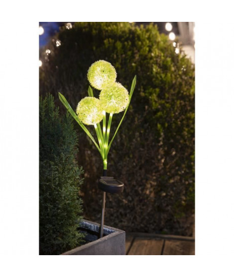 Décoration lumineuse - GALIX - G4510 -  Energie solaire : Fleurs