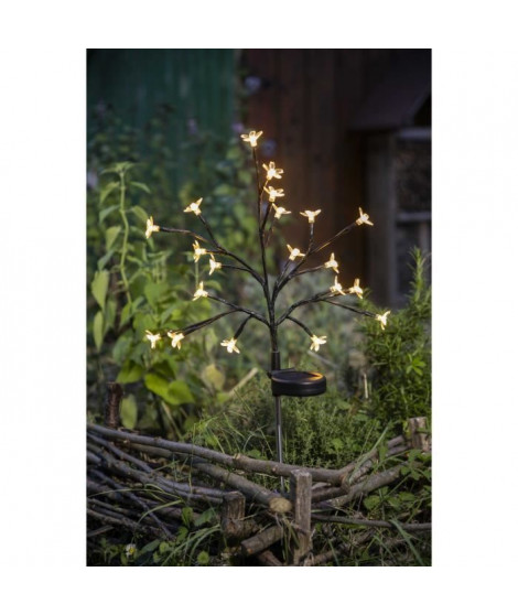 Arbuste a fleurs solaire - GALIX - G4505 - H72