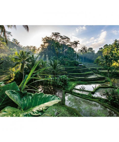 Puzzle 2000 pieces Au coeur de Bali, Adultes et enfants des 14 ans, Collection Évasion, 12001518, Nathan