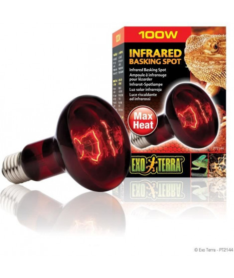 EXO TERRA Lampe infrarouge Baskin Spot - 100 W - Pour terrarium